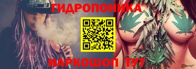 экстази Новозыбков