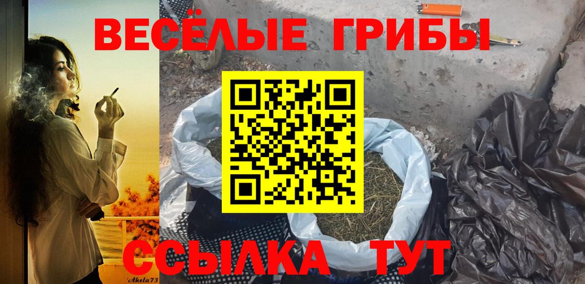 Семёнов  Псилоцибиновые грибы Psilocybine cubensis  Вход с VPN 