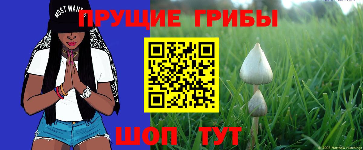 Псилоцибиновые грибы ЛСД Семёнов